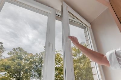 Windows Replacement